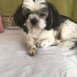 Meet your Posher, Virginia